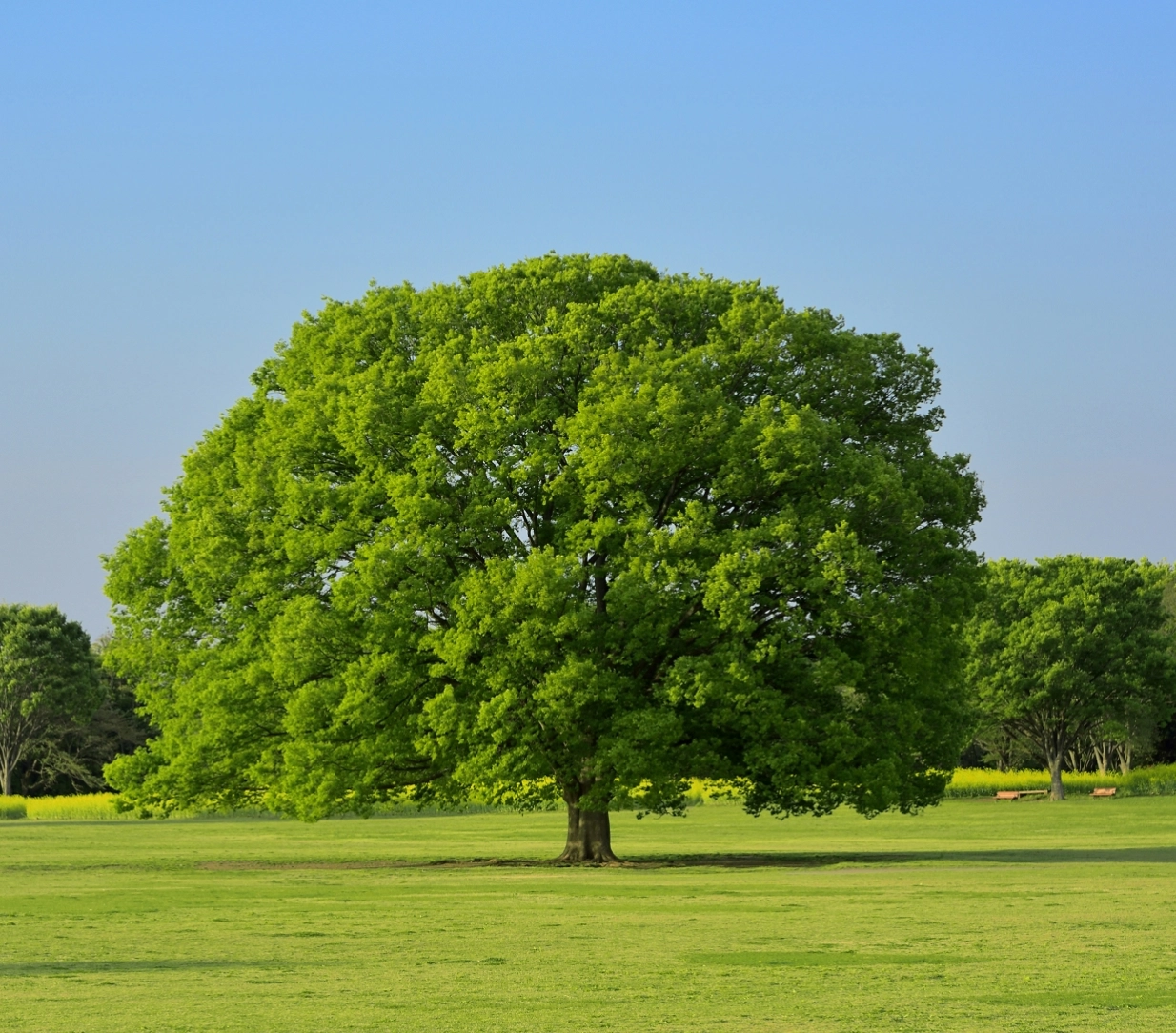 環境に、やさしく。